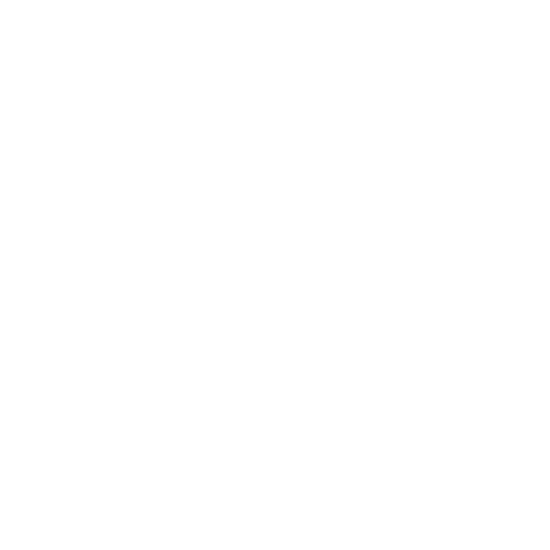 Vn – VNSTU®